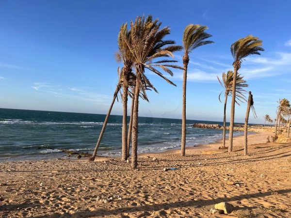 קלעת בול - شركات تنظيف في شمال سيناء