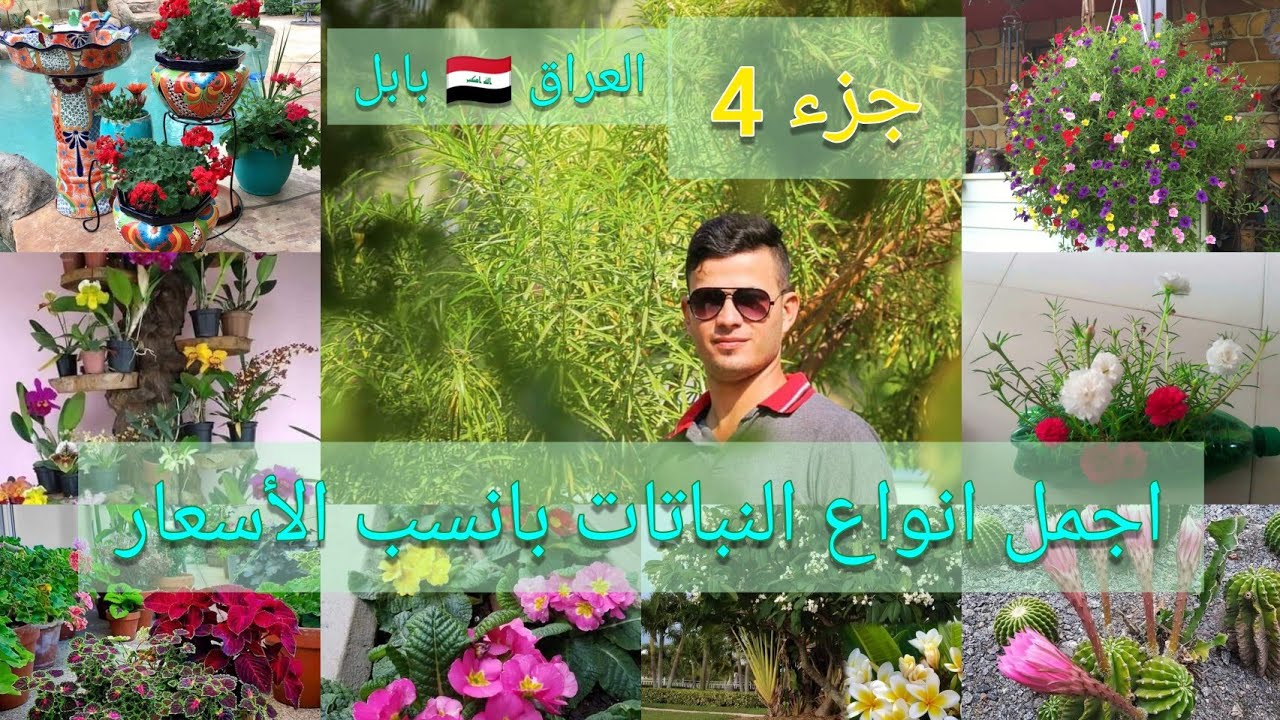 عالم الزراعة في العراق - زراعة الشعر في بابل