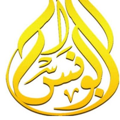 أبو أنس وحد - ونش إنقاذ - خدمات سيارات في كفر الشيخ