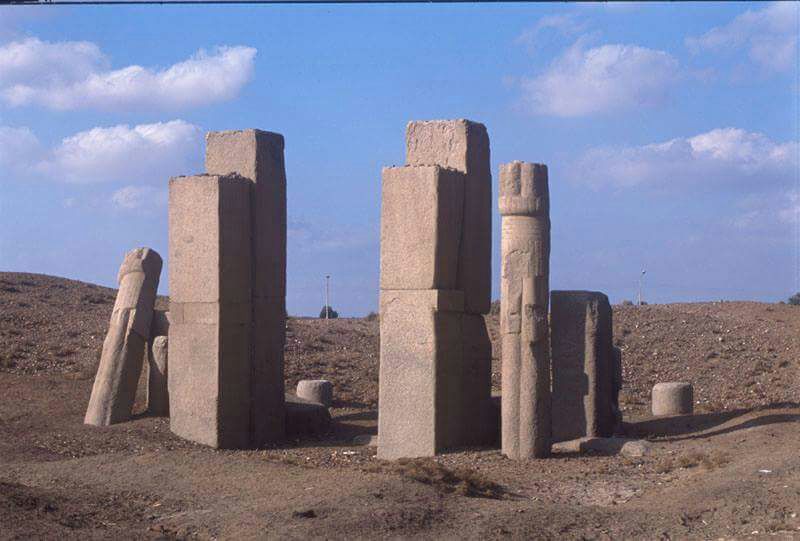 اهناسيا - بنى سويف - زراعة الشعر في بني سويف