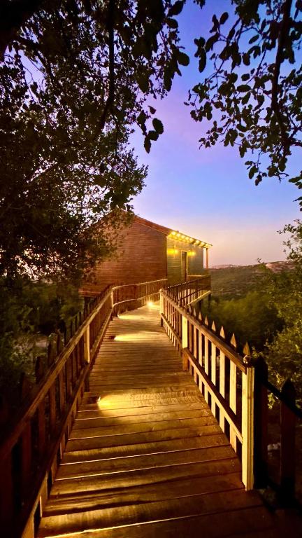 اكواخ سفاري السياحية - فنادق في جرش