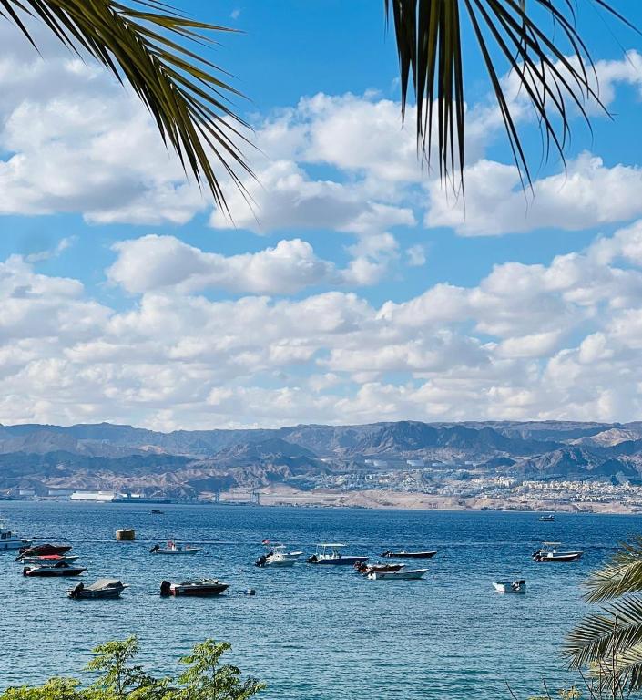 Al Amer - Aqaba Beach Hostel - فنادق في العقبة