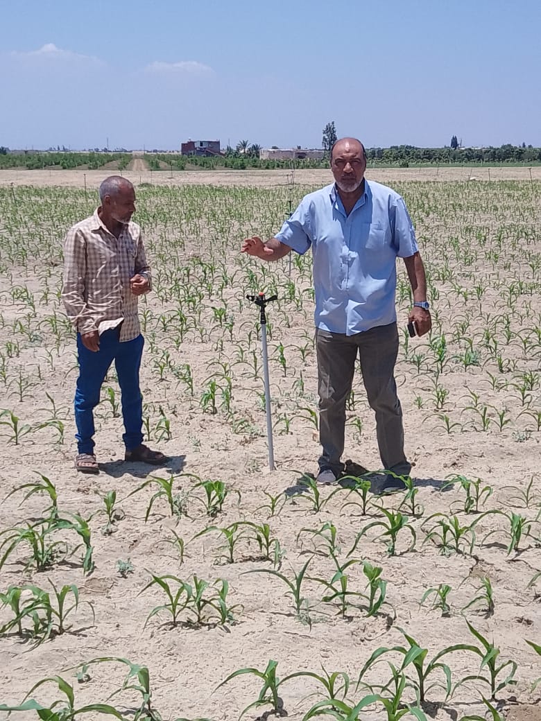 الاداره الزراعيه القنطره شرق - زراعة الشعر في الإسماعيلية