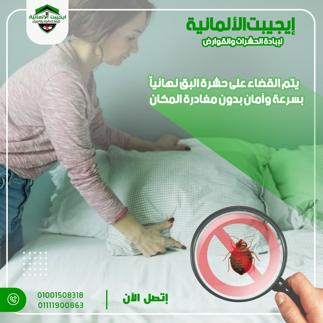 الالمانية مكافحة حشرات في الاسكندرية - شركات تنظيف في الإسكندرية