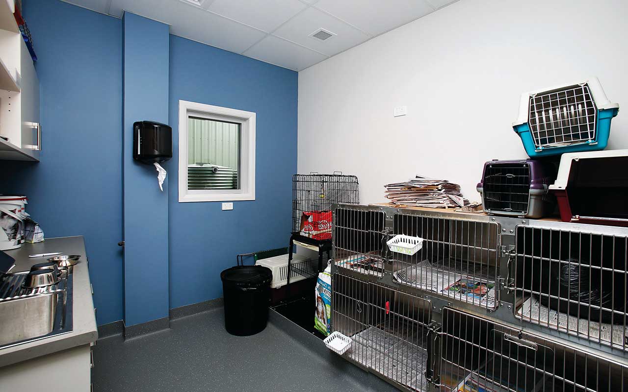 العيادة البيطرية بولاية المضيبي - عيادات في شمال الشرقية