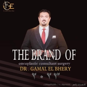 البحيرى - شركات تنظيف في الجيزة