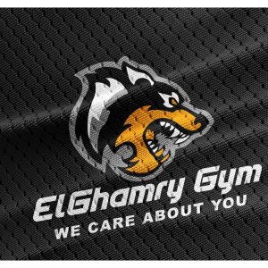الغمري جيم - صالات رياضية في المنصورة
