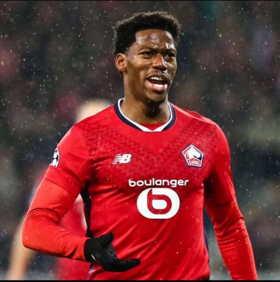 الكندي - مدارس في القادسية