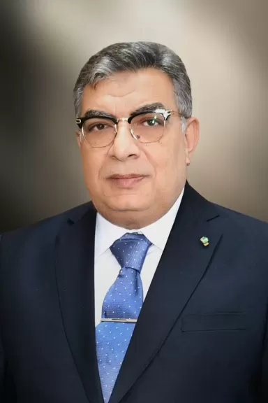 الكوش - خدمات تنظيف في الدقهلية