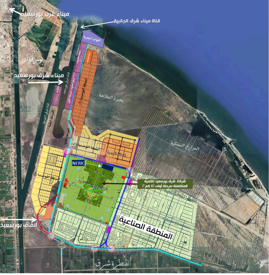 المنطقه الصناعية - زراعة الشعر في بورسعيد