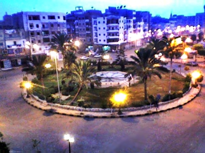 الميدان الابراهيمي - زراعة الشعر في كفر الشيخ