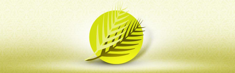 الميرة للغسل الموقعي - شركات تنظيف في واسط