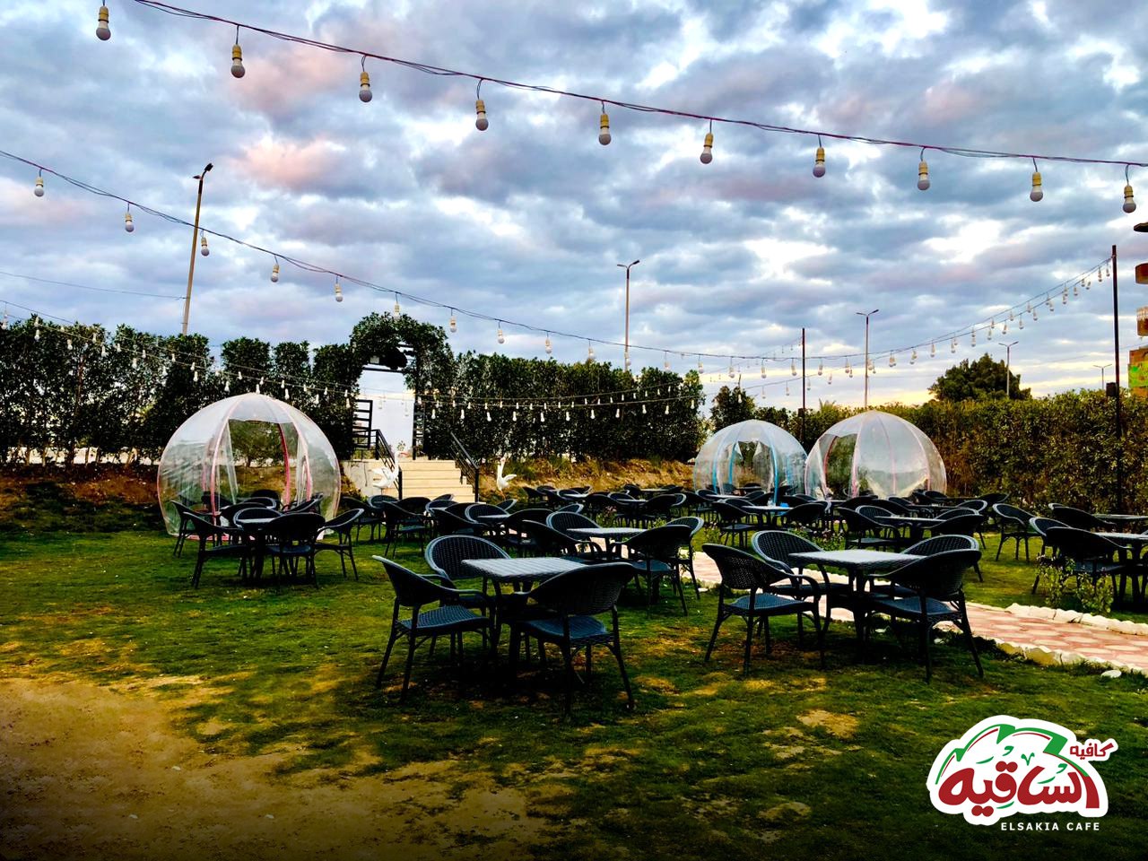 الساقية كافية - كافيهات في أسيوط