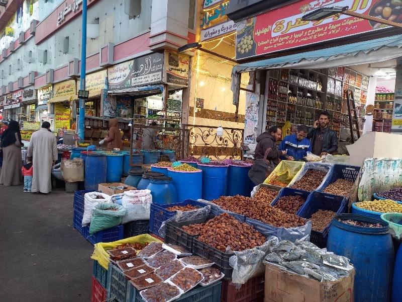 السيوي لمنتجات سيوه ومطروح - زراعة الشعر في مرسى مطروح