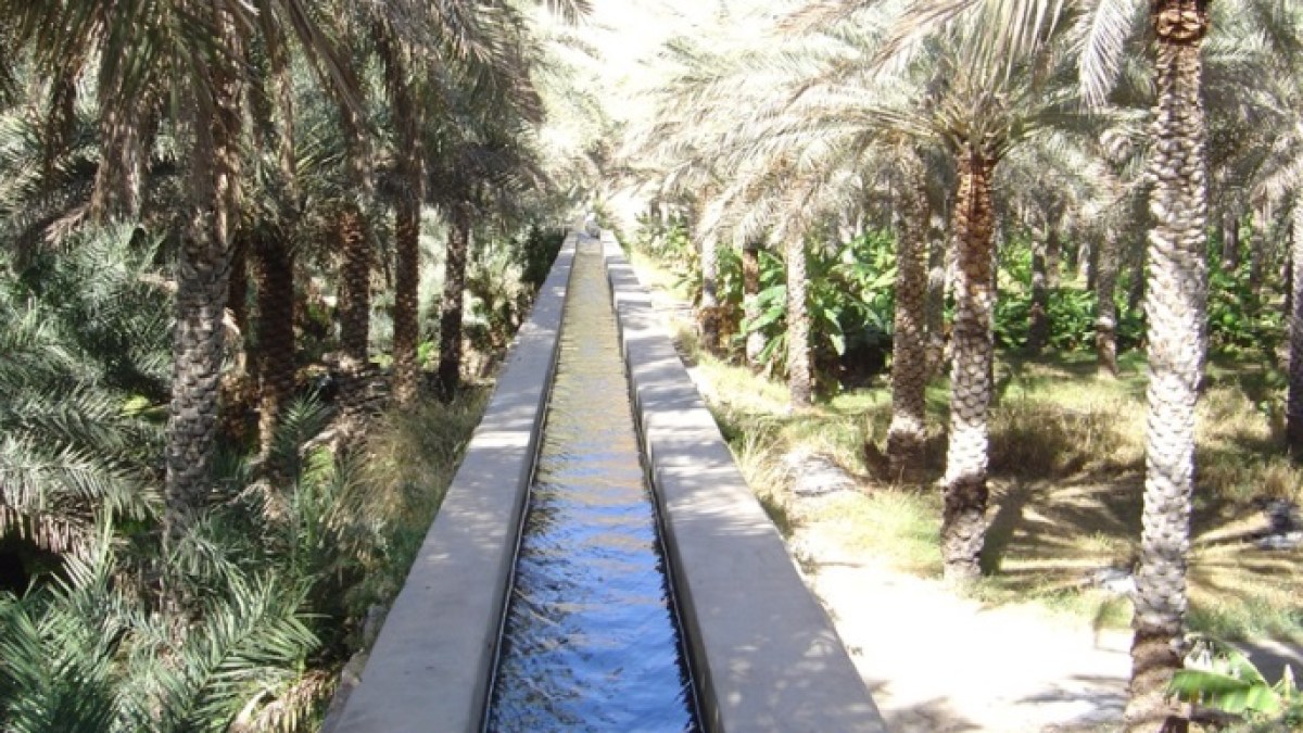 التطور - صالات رياضية في الأفلاج