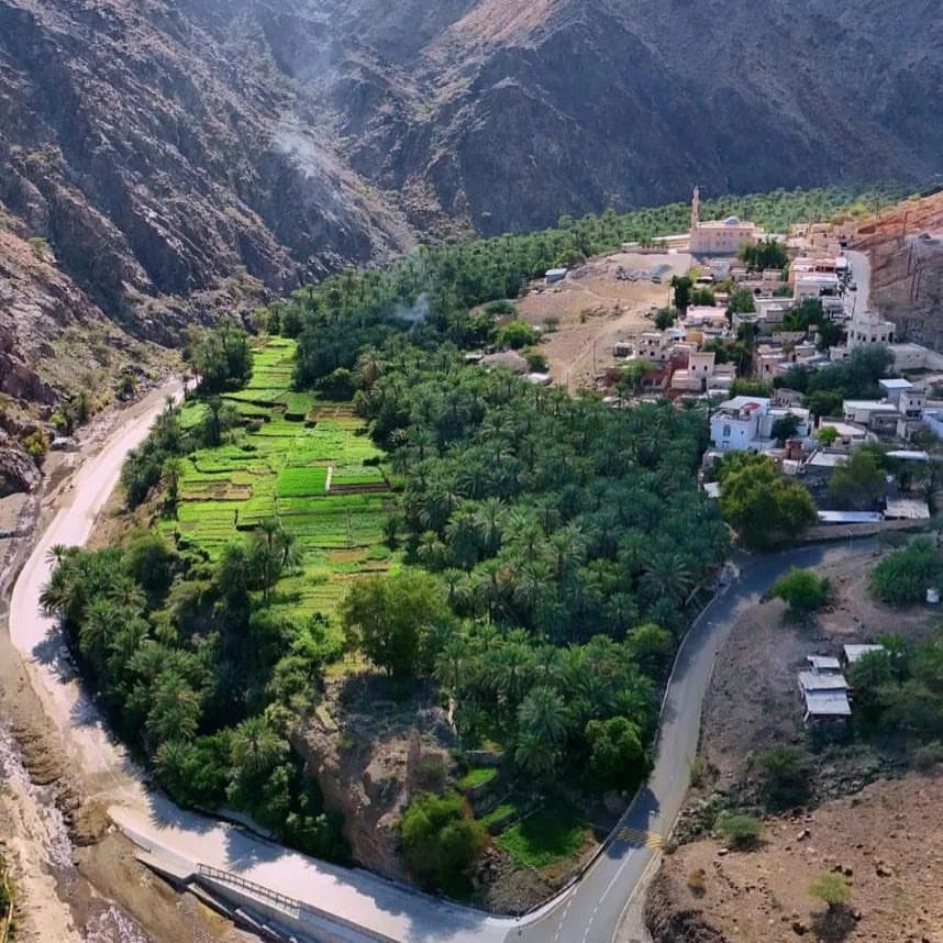 أرجوان الخابورة - عيادات جلدية في شمال الباطنة