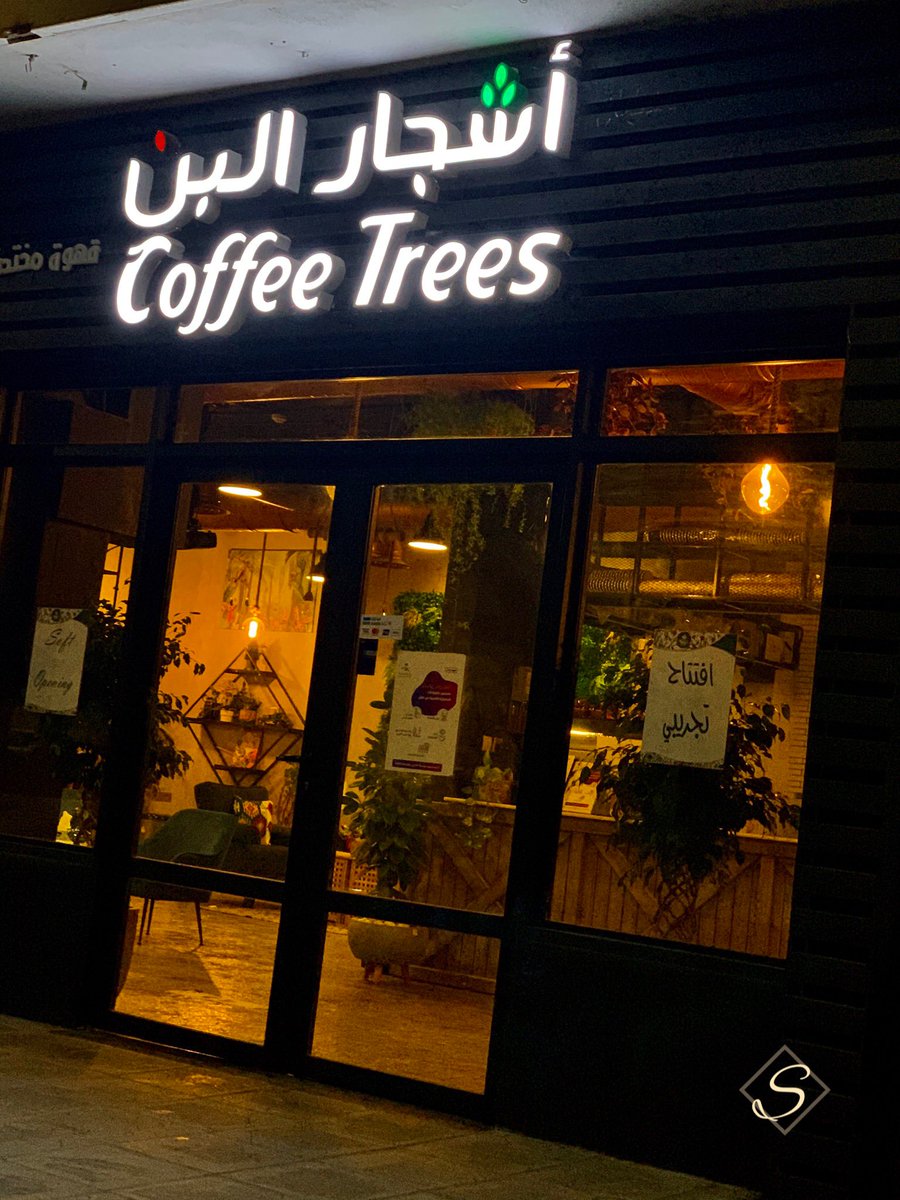 أشجار البن - كافيهات في الرياض