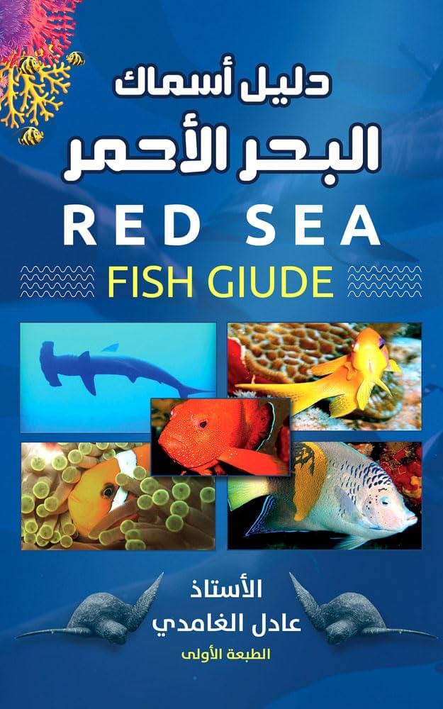 أسماك البحر الأحمر - مطاعم في البحر الأحمر