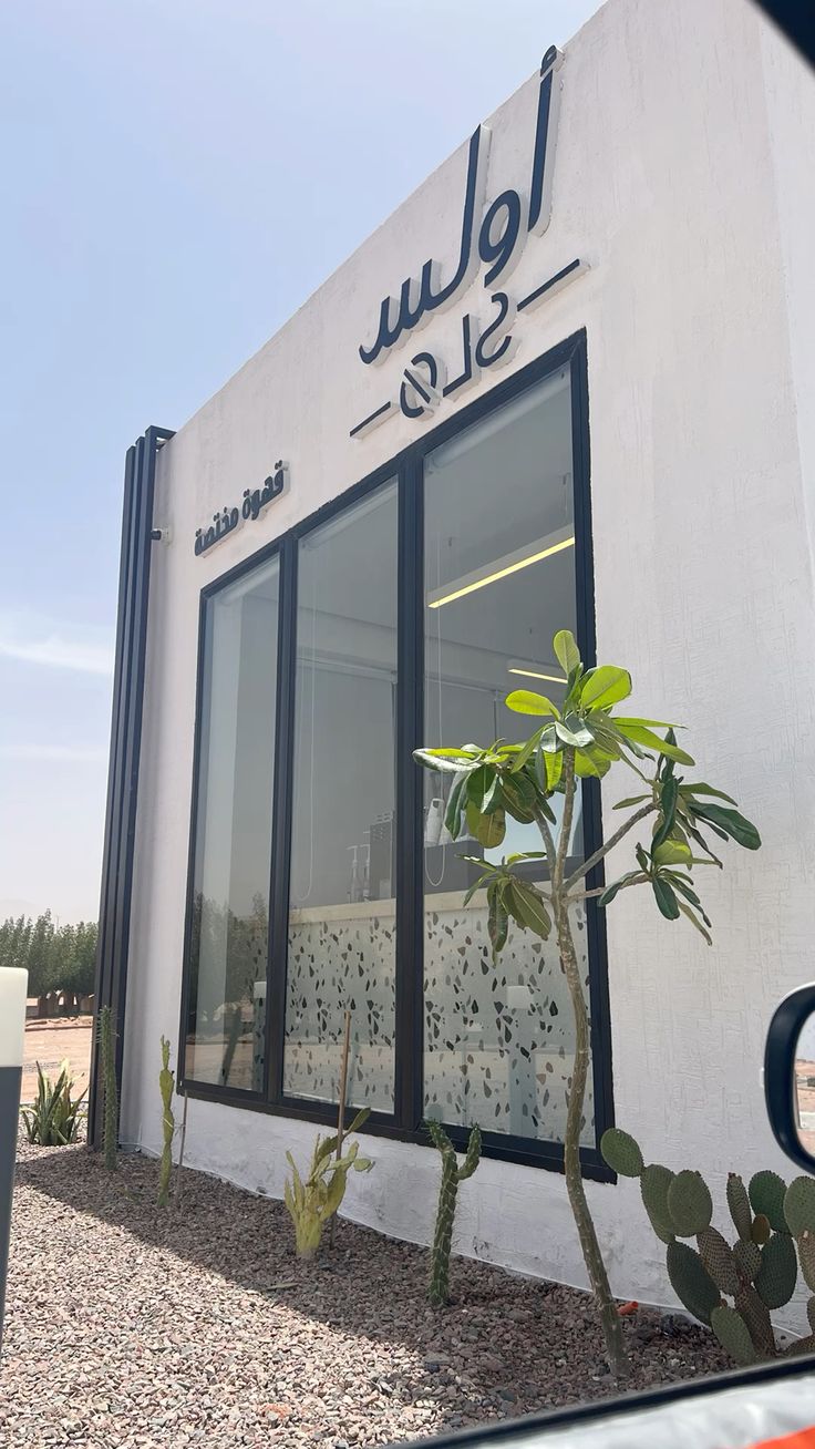 أولس OLS - كافيهات في حقل