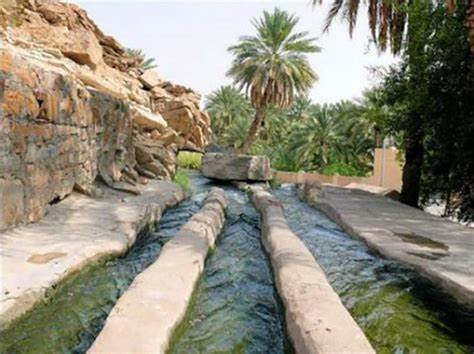 ايڤا كافيه - كافيهات في شمال الباطنة