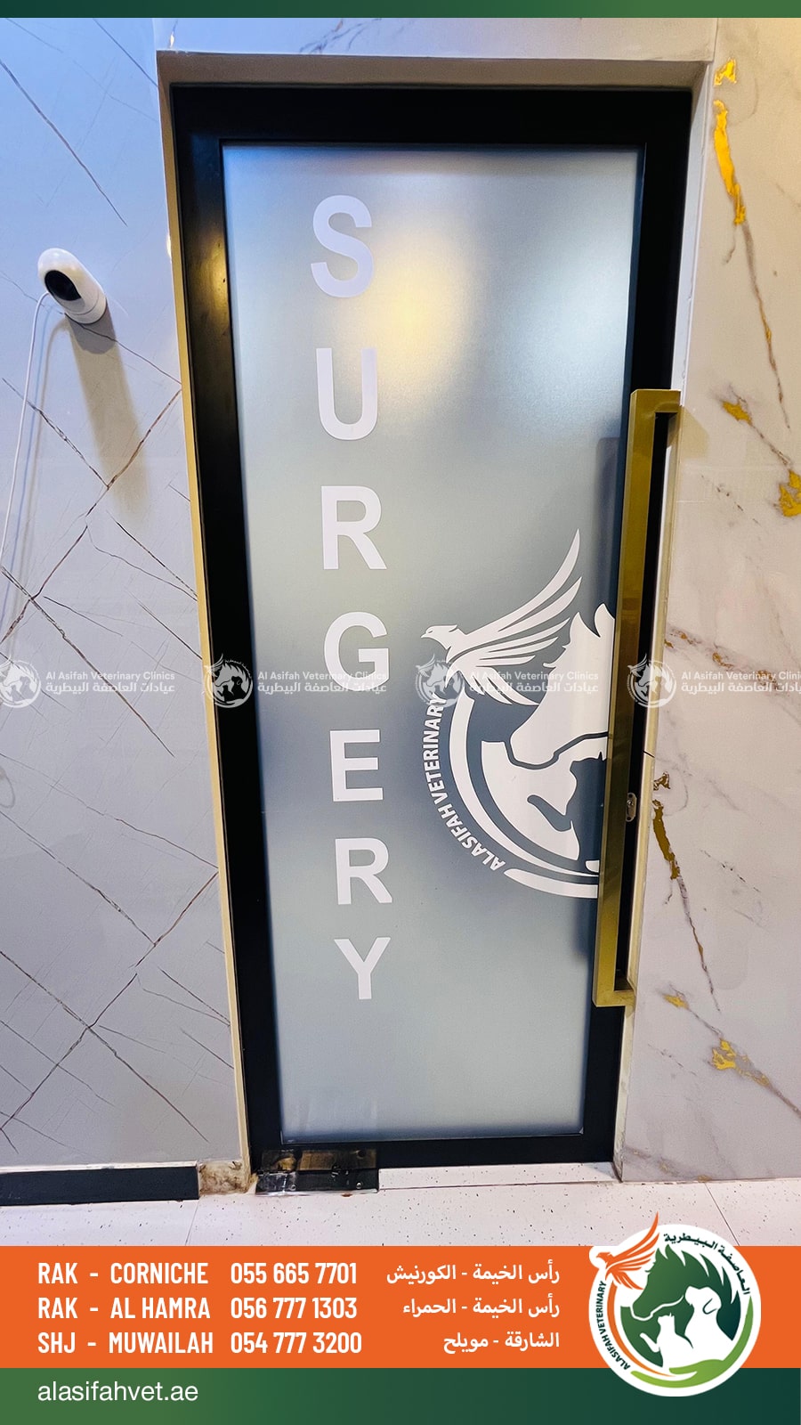 عيادة العاصفة البيطرية - عيادات في رأس الخيمة