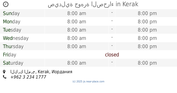 عيادة الدكتور صبري الحنيفات - عيادات في الطفيلة