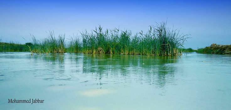 عيادة المجر الكبير لزراعة وتقويم الاسنان - عيادات جلدية في ميسان