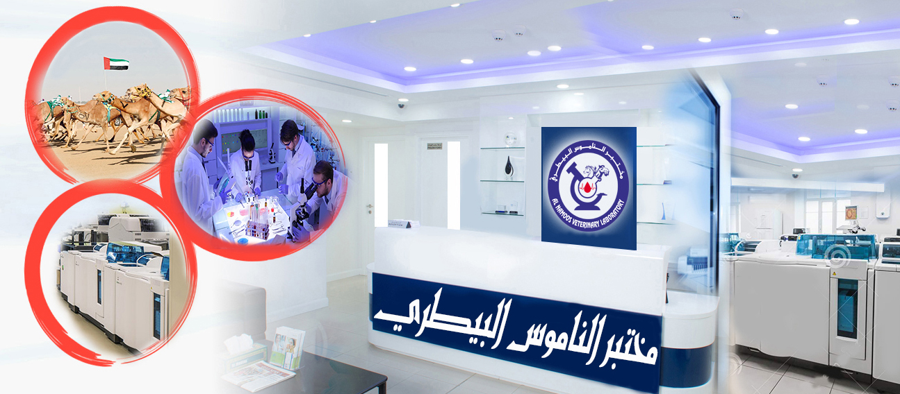 عيادة الناموس البيطرية - عيادات في شمال الشرقية