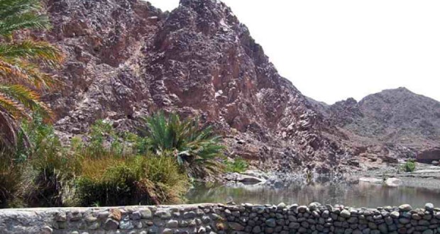 عيادة ضنك للأسنان - عيادات أسنان في الظاهرة