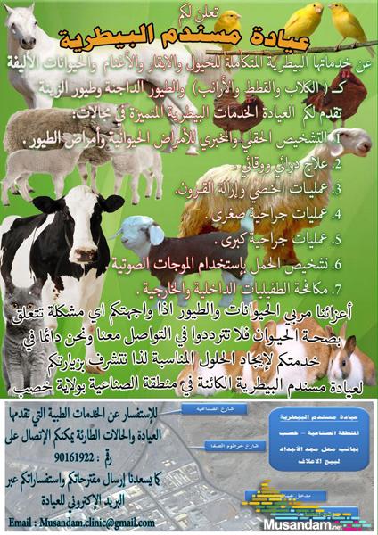 عيادة مسندم البيطرية - Musandam Veterinary Clinic - صيدليات في مسندم