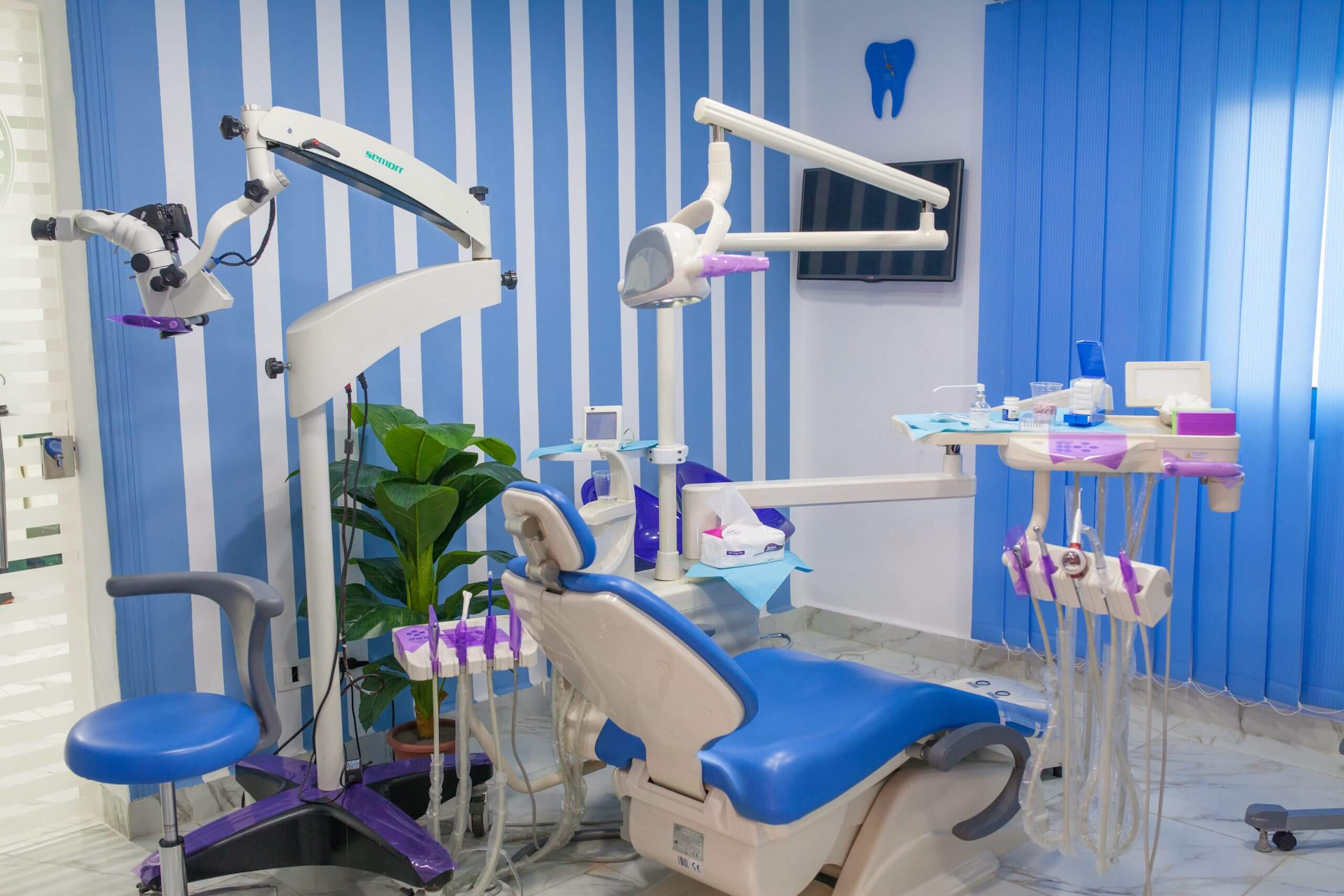 عيادات أسنان Dental Castle - عيادات أسنان في المنصورة