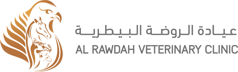 عيدة الروضة - عيادات في العاصمة