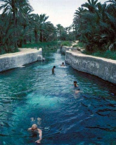 ايتك كربلاء عين التمر للموبايل - شركات تنظيف في كربلاء