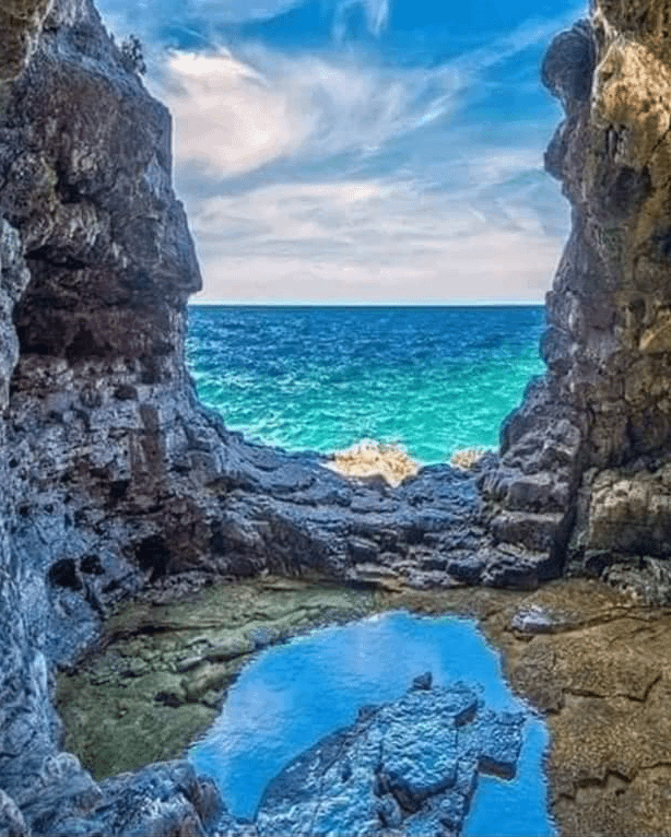 عيون كليوباترا - زراعة الشعر في مطروح