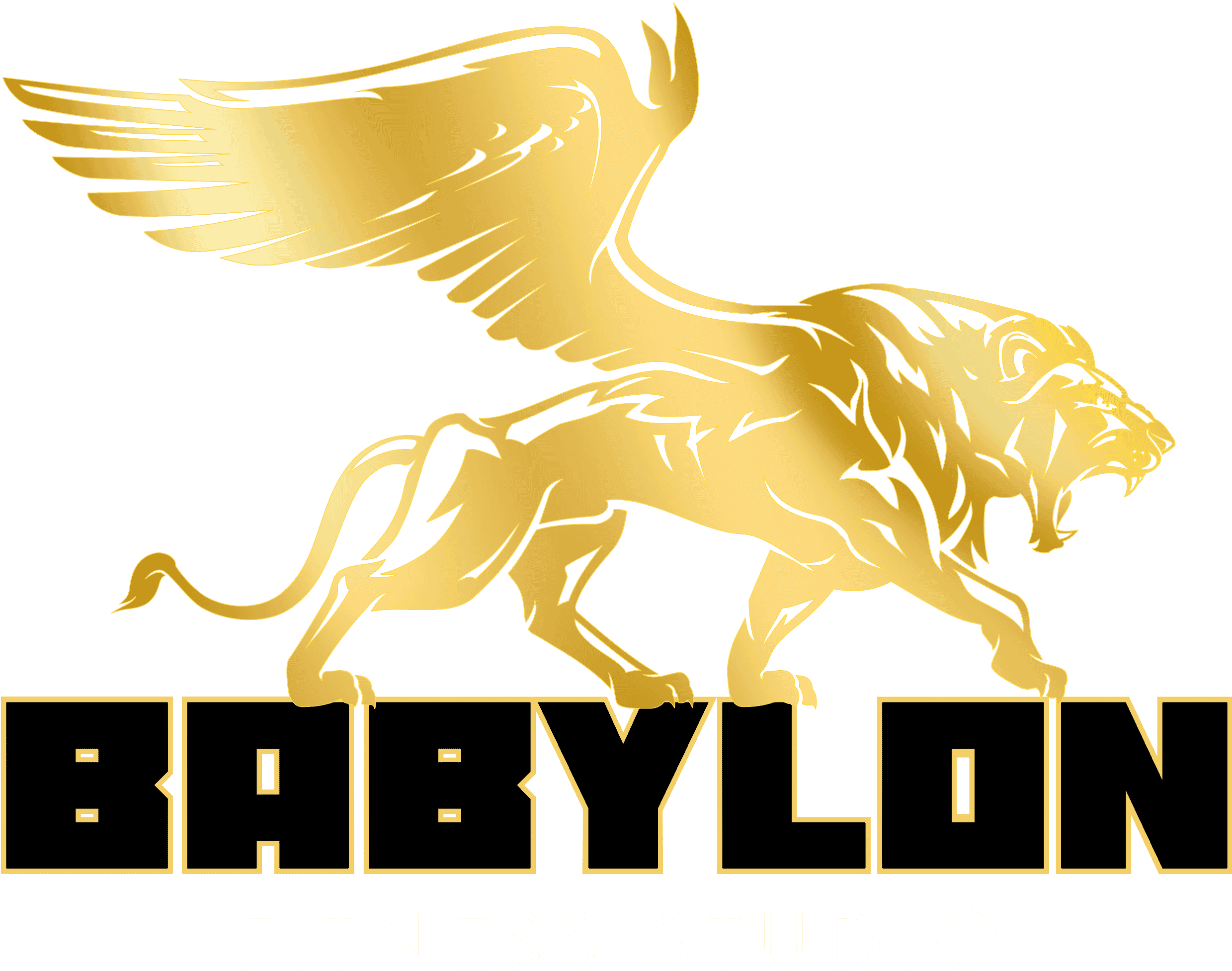 Babylon gym - صالات رياضية في بابل