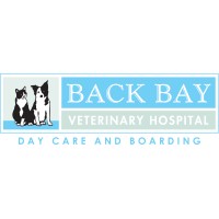 Back Bay Clinic - عيادات في جنوب سيناء
