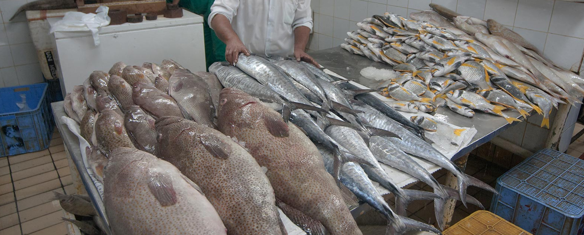 Beauty One Saloon - Umm Salal Ali - صالونات نسائية في أم صلال