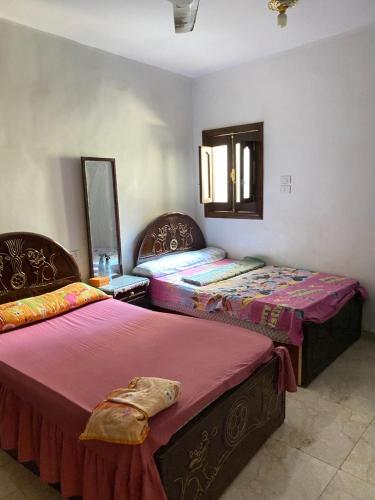 Beside Alfursan gym - فنادق في أسيوط