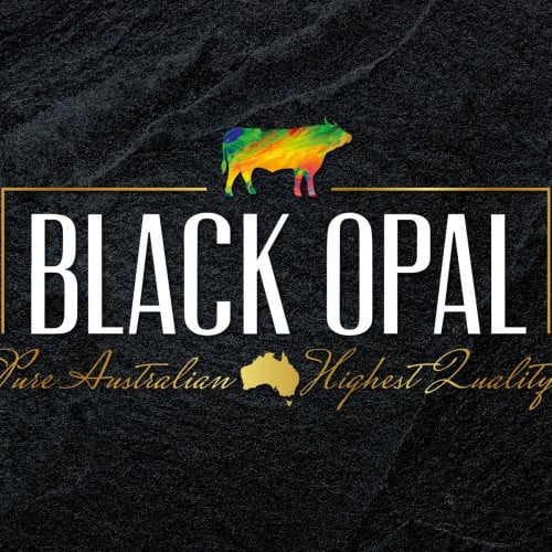 Black Opal Restaurant - مطعم بلاك اوبال - مطاعم في أربيل