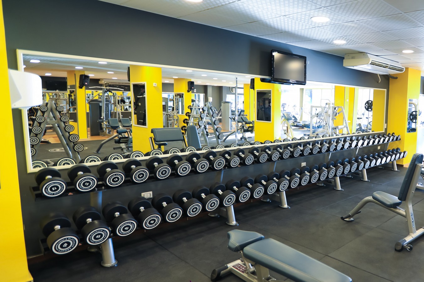 بلاتينيوم جيم الغردقه - صالات رياضية في الغردقة