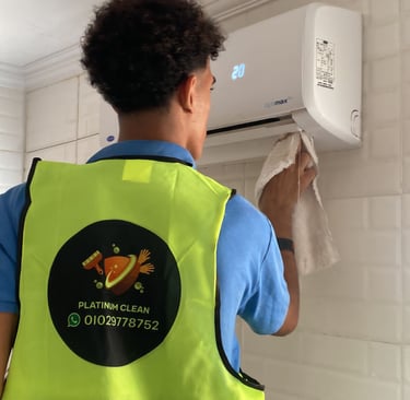 بلاتينيوم كلين لمكافحه الحشرات والقوارض - شركات تنظيف في الجيزة