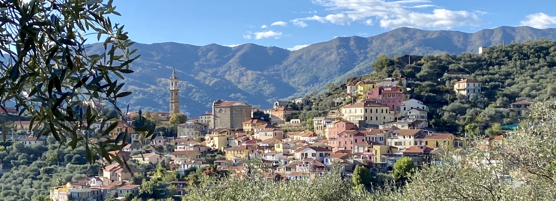 Bodins Bakery & More - مخابز في البحر الأحمر