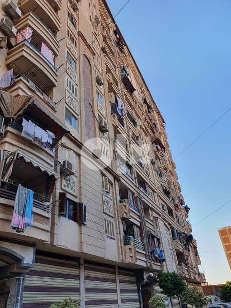 برج الفيروز - زراعة الشعر في المنوفية