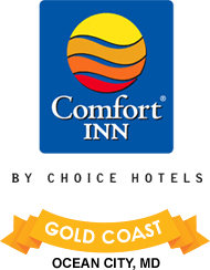 City Comfort فندق - فنادق في المنوفية