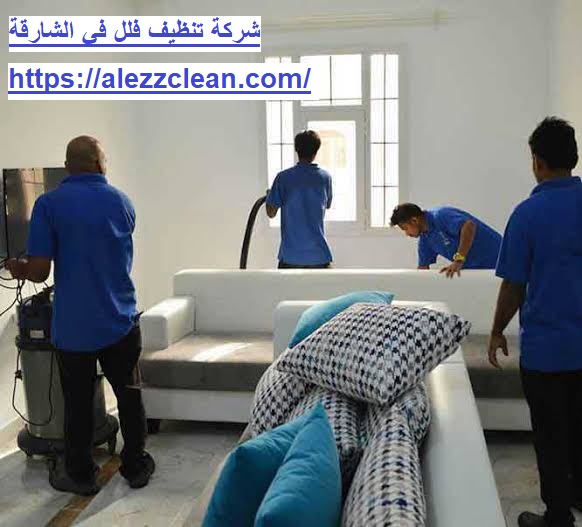 CLEAN AREA - Premium Cleaning - شركات تنظيف في الشارقة