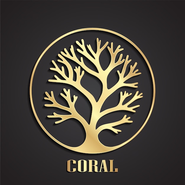 coral premium - صالات رياضية في النجف