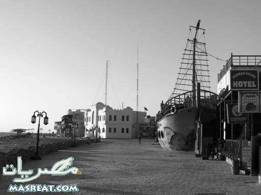 Dahab Square دهب سكوير - زراعة الشعر في جنوب سيناء