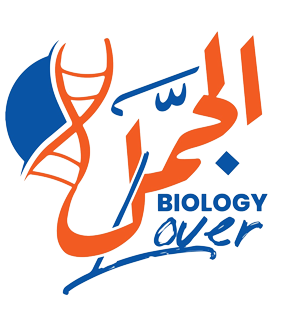 د/أسماء عبداللطيف الجمل - زراعة الشعر في المنيا