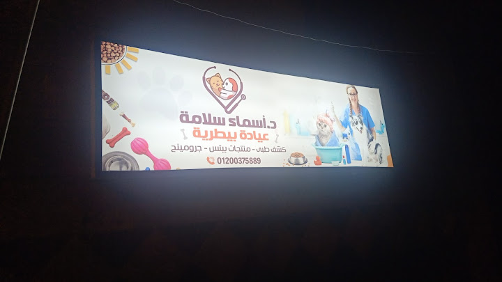 د.اسماء سلامة العيادة البيطرية DR, Asmaa vet clinic - زراعة الشعر في أسوان