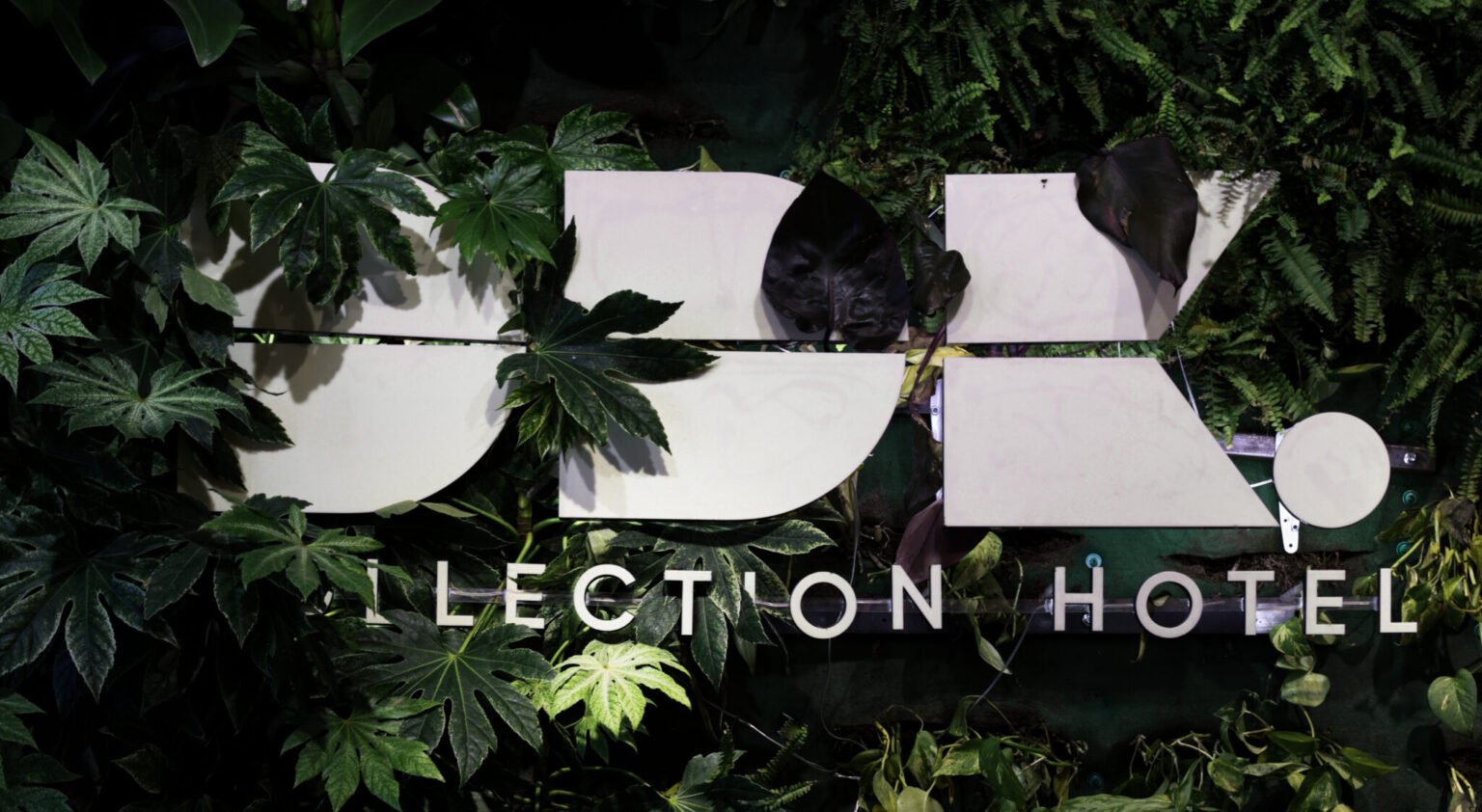 DDK Collection Hotel - فنادق في دهوك